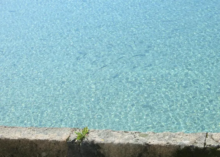 Na Beira Do Mar *